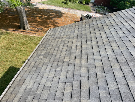 Why you should schedule roof cleaning before stains cause damage