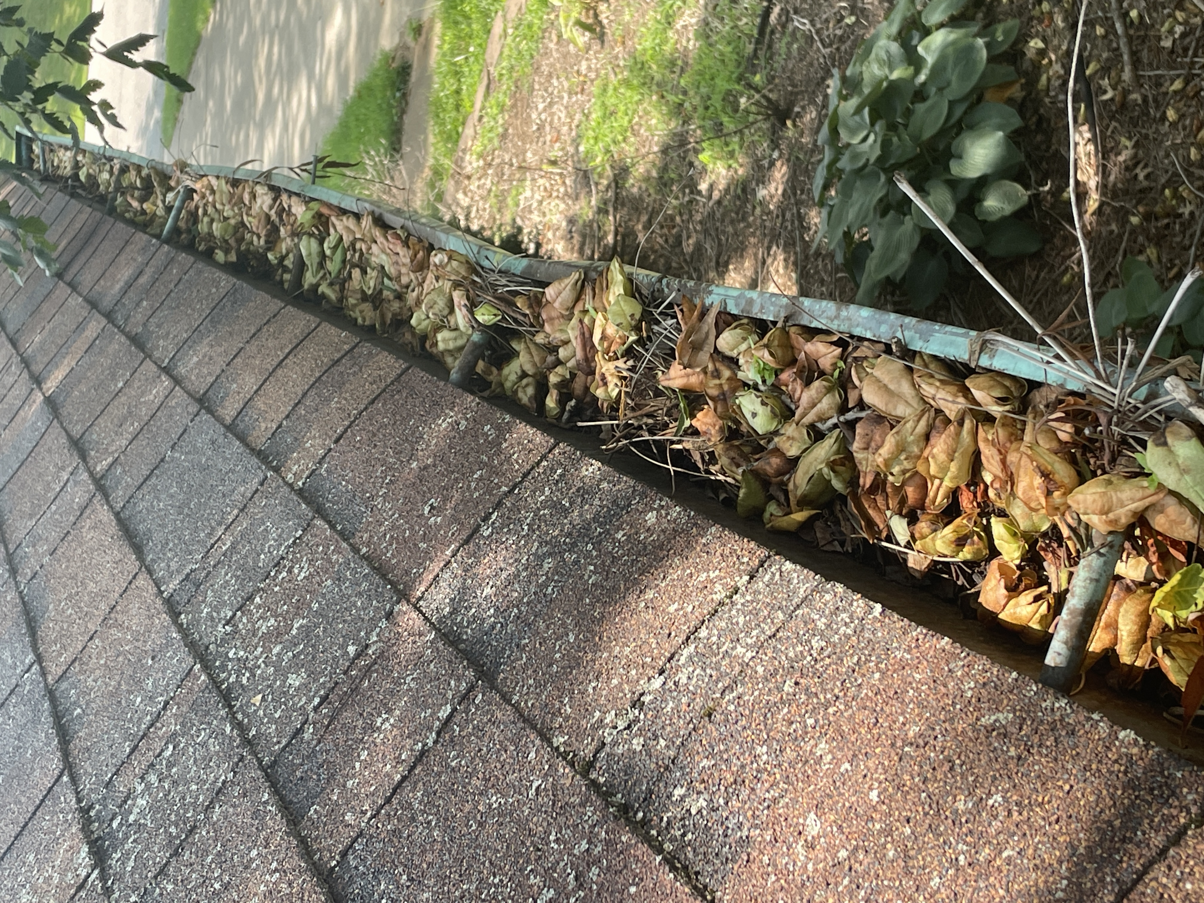 Gutter Cleaning in Waterloo Illinois (1)