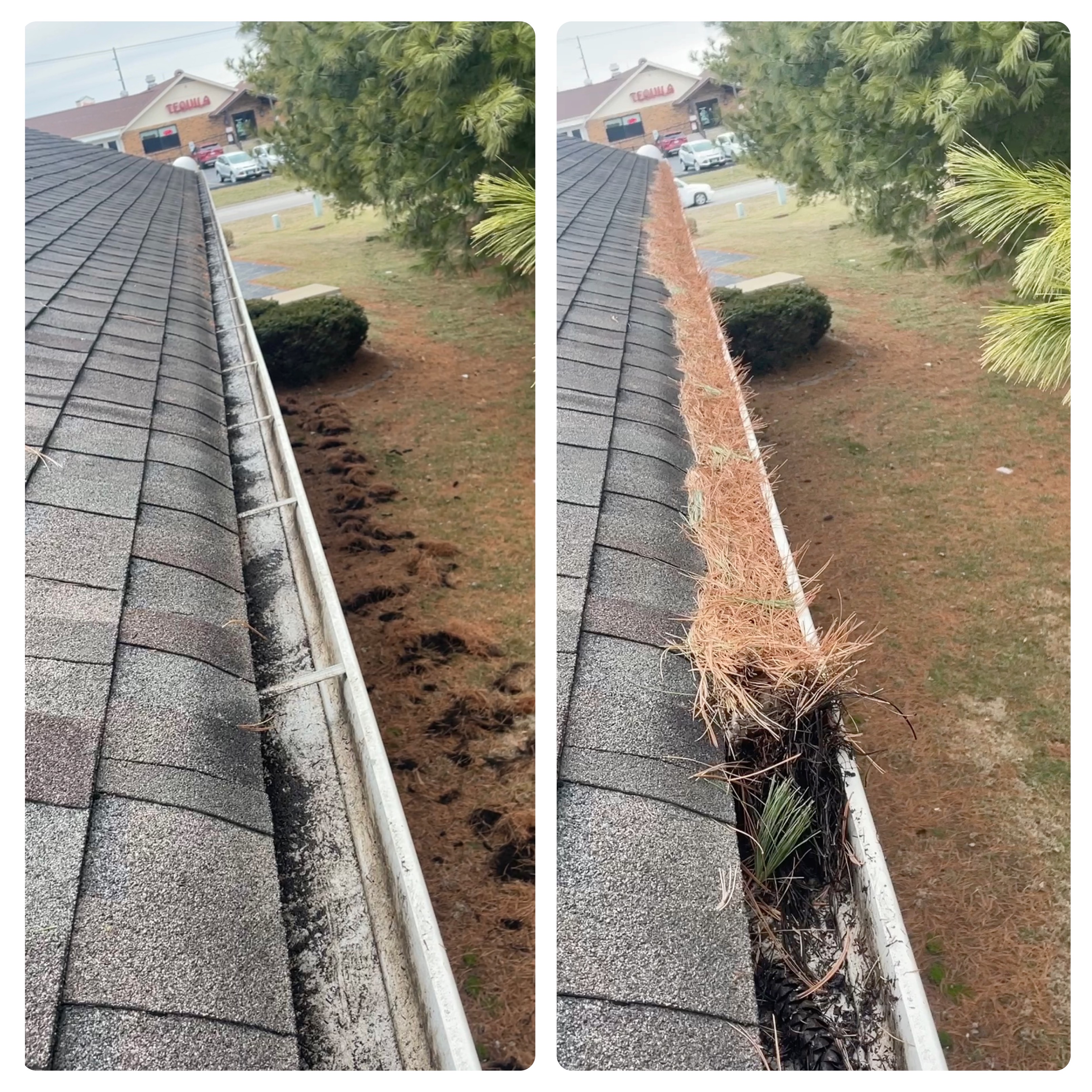 Professional Gutter Cleaning in Waterloo, IL