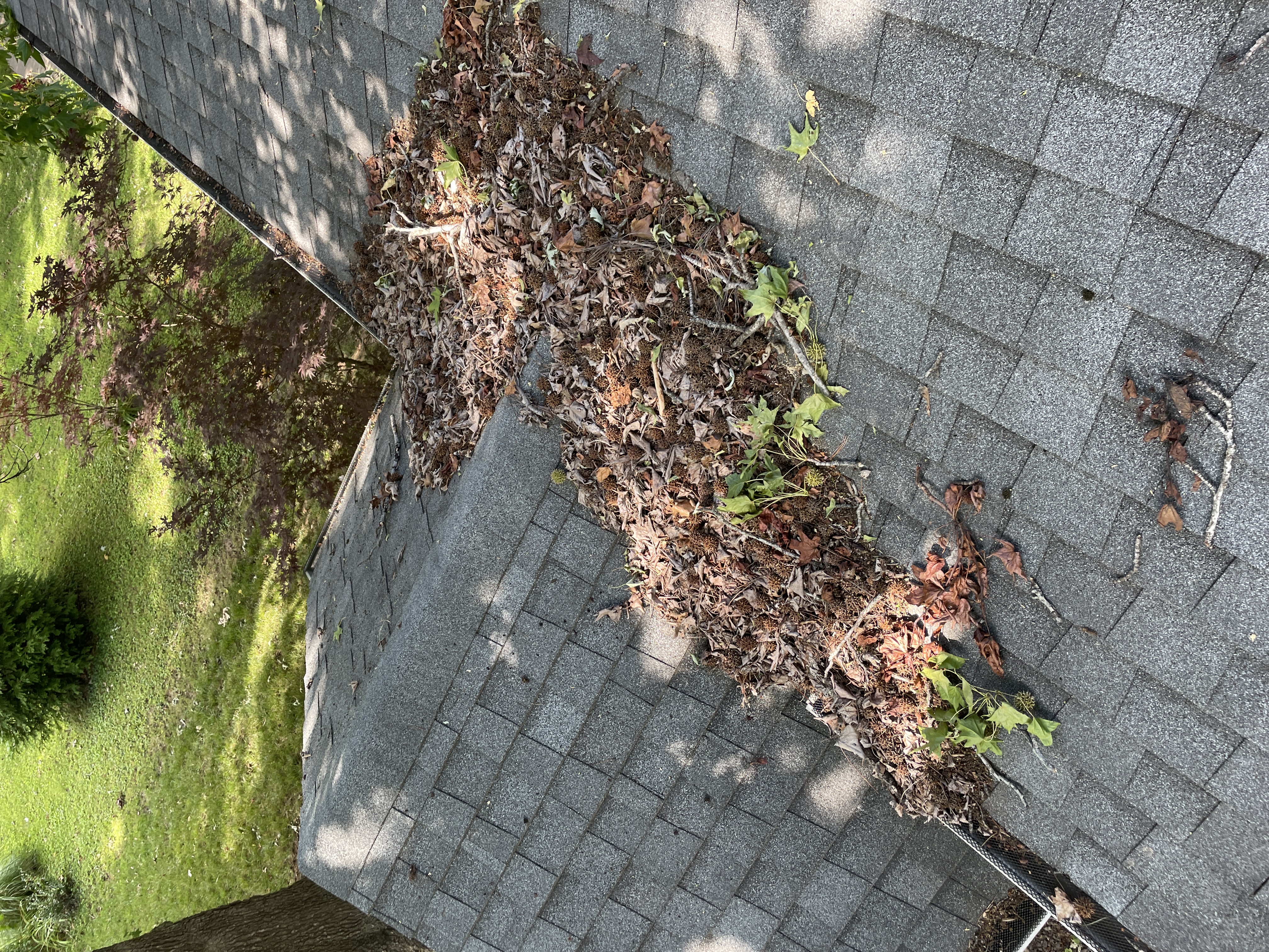 Roof and gutter debris cleaning in Belleville IL