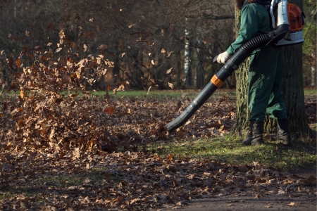 Fall leaf removal